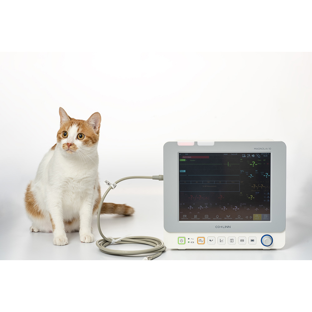 Veterinary Monitor